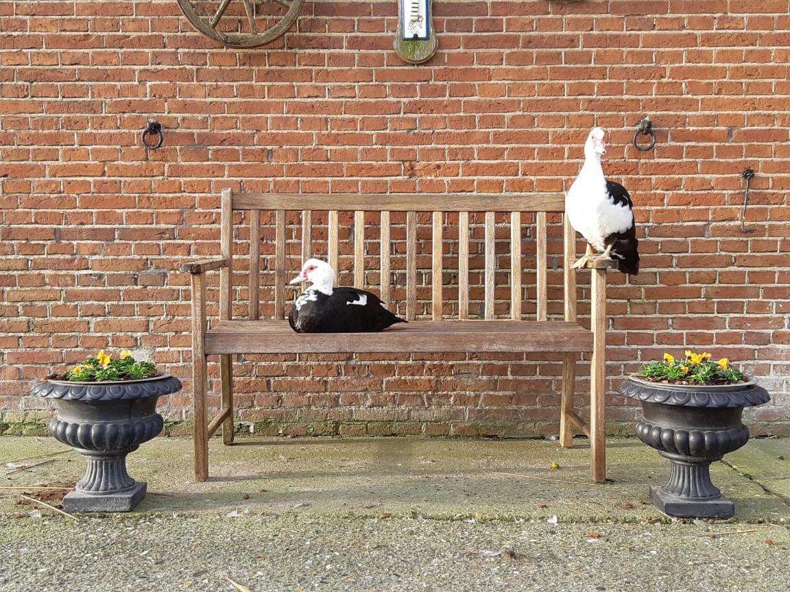 Wol Thus Villa Paesens Bagian luar foto
